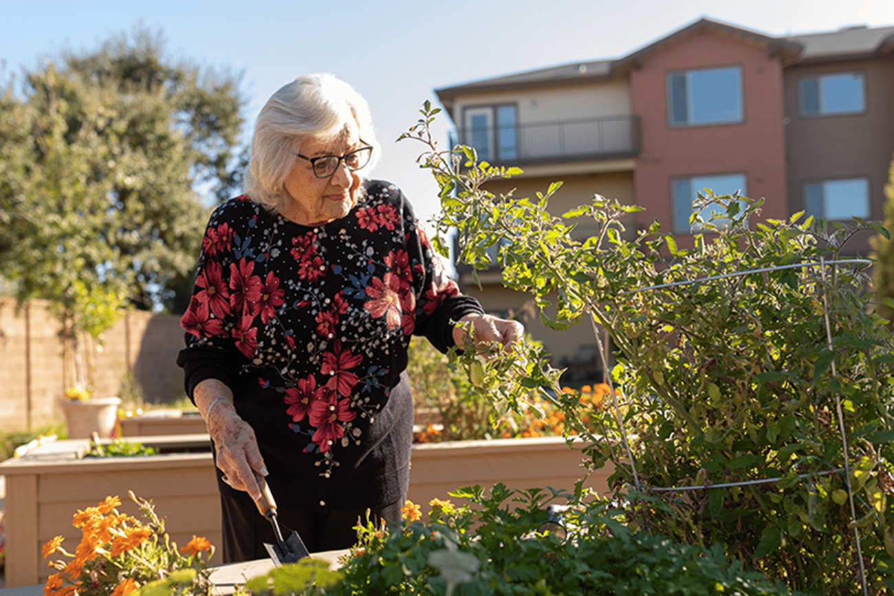 BrucePoint-263-Gardening